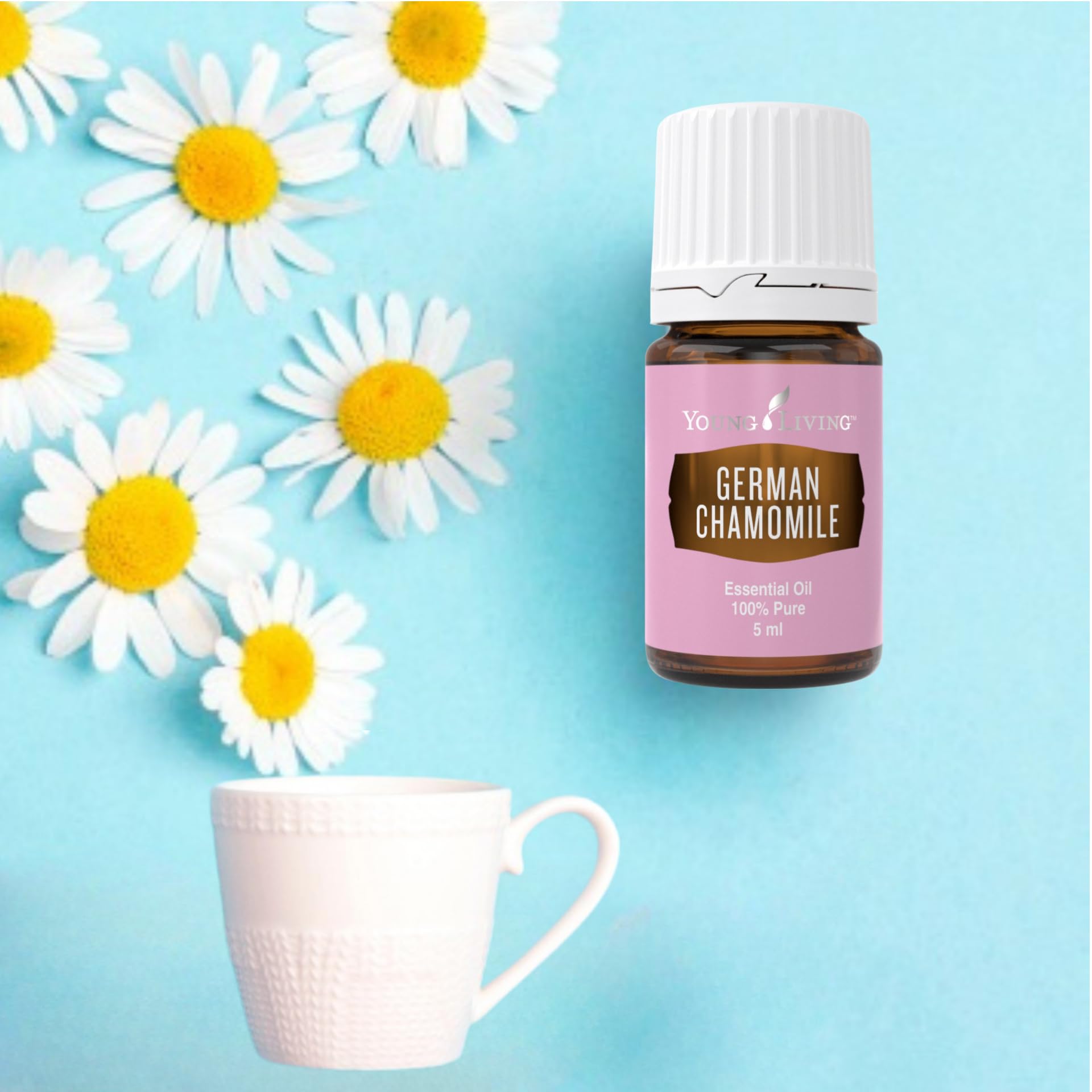 Étiquette camomille allemande Young Living sur flacon ambré.