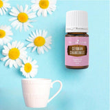 Étiquette camomille allemande Young Living sur flacon ambré.