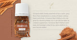 Young Living Cannelle Vitalité – Diffusion pour ambiance épicée et réconfortante