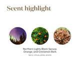 Young Living Christmas Spirit, branche cannelle pour bouquet aromatique