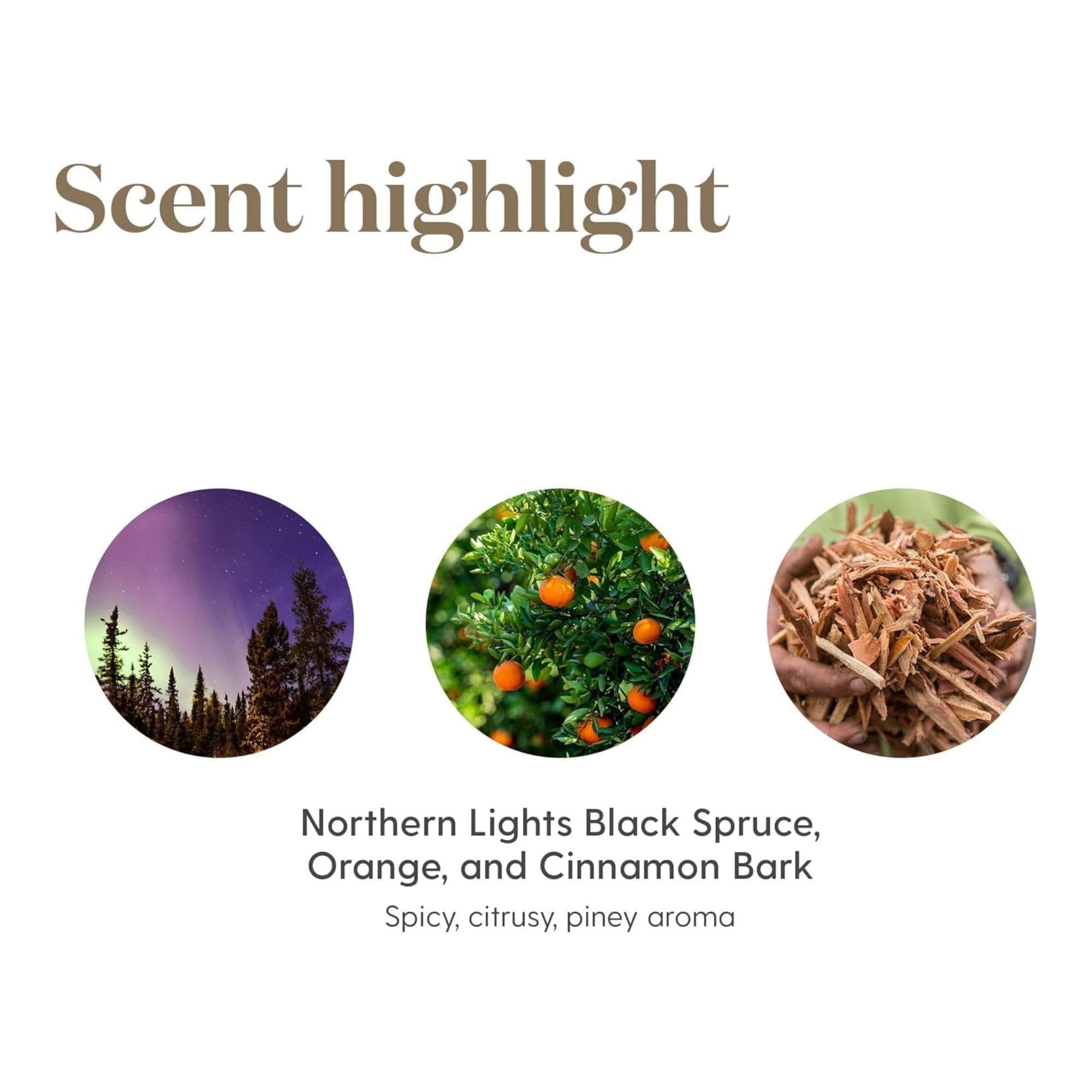 Young Living Christmas Spirit, parfum hivernal doux pour soirées d'hiver