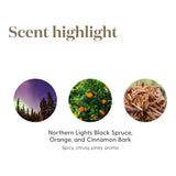Young Living Christmas Spirit, parfum hivernal doux pour soirées d'hiver