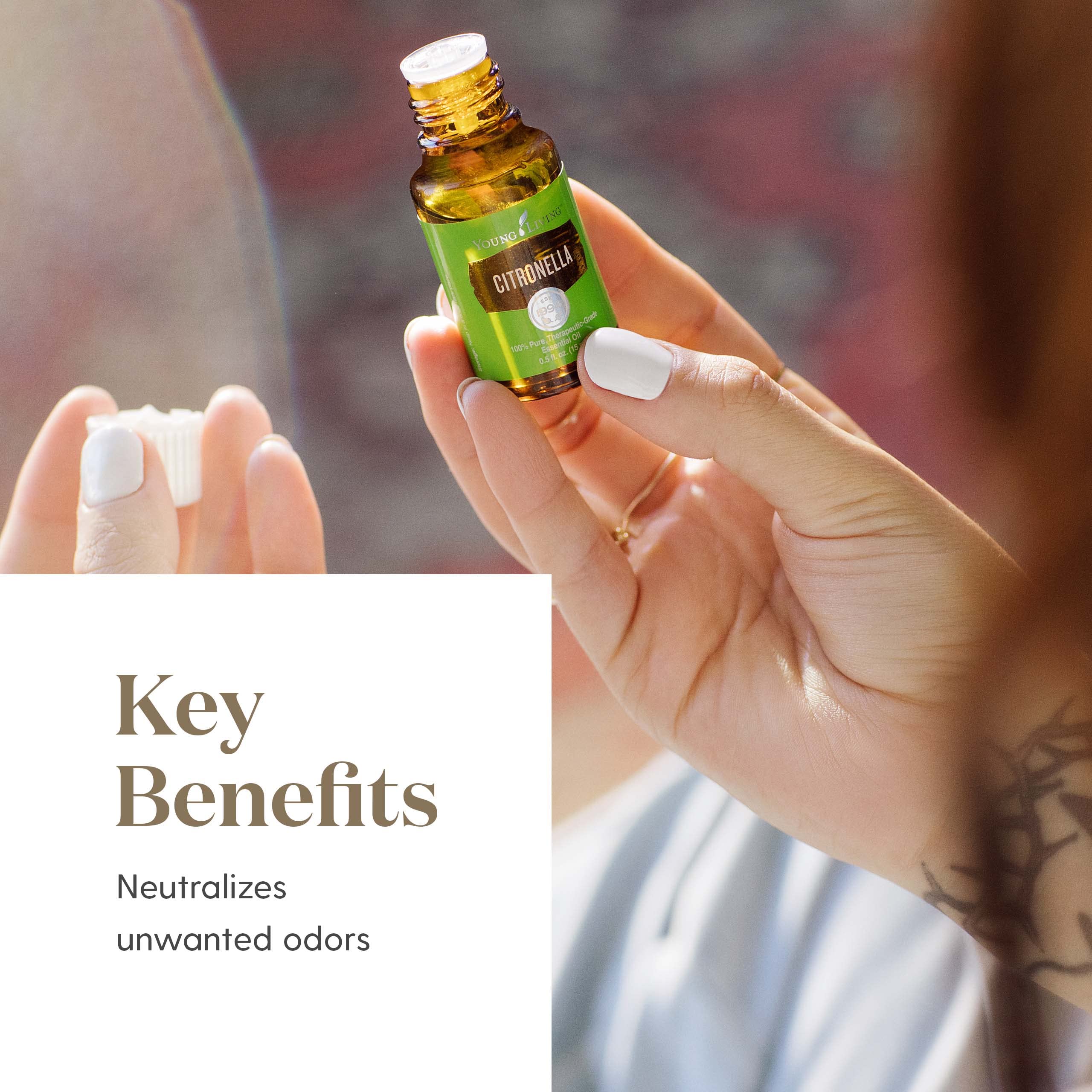 Citronella Young Living : mélange lemongrass et cèdre, spray extérieur naturel