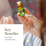 Citronella Young Living : mélange lemongrass et cèdre, spray extérieur naturel