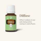 Utilisations variées pour activités en plein air avec Citronella