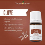 Arôme chaud et épicé de Clove Vitality pour pâtisseries.