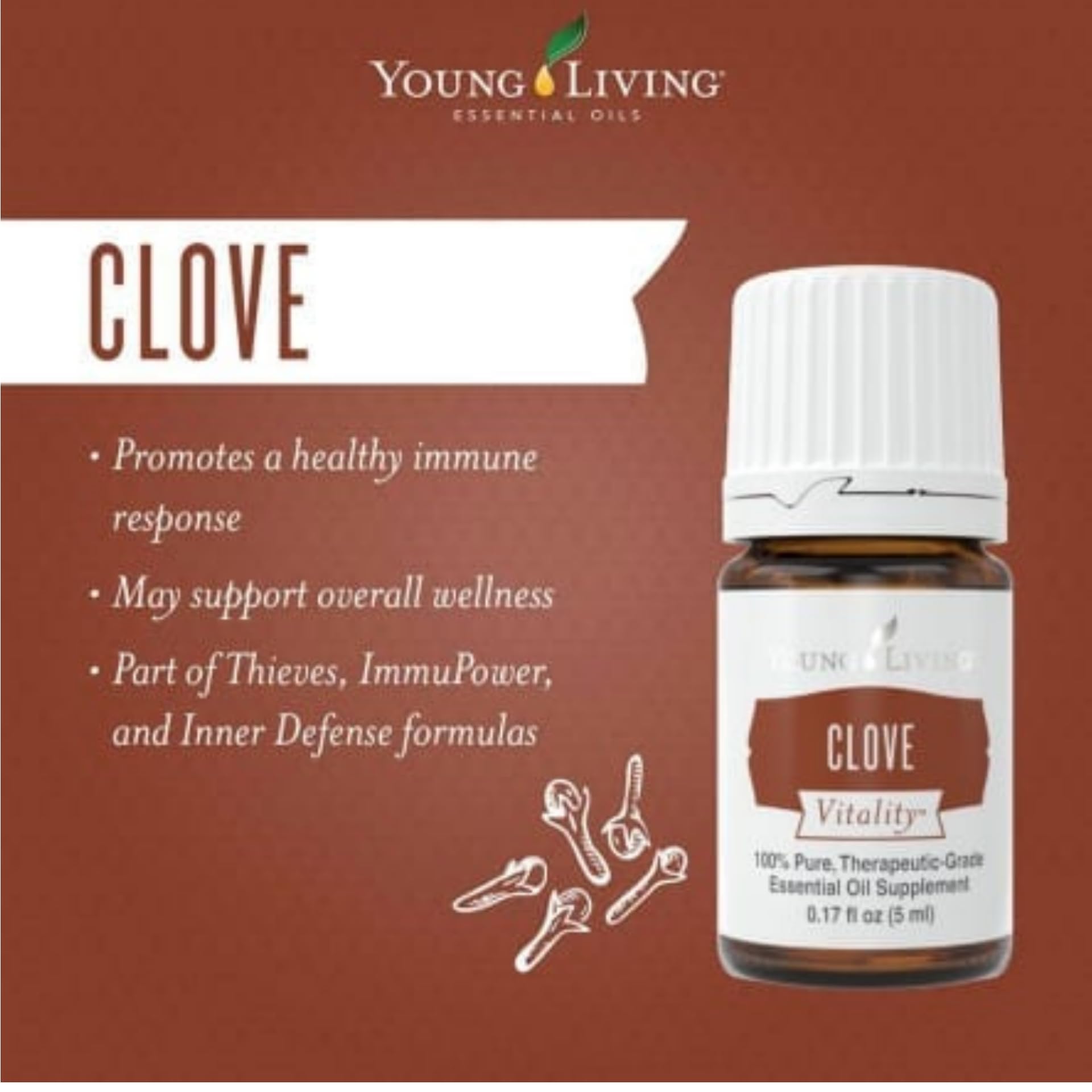 Thé infusé avec Clove Vitality pour un arôme épicé et réconfortant.