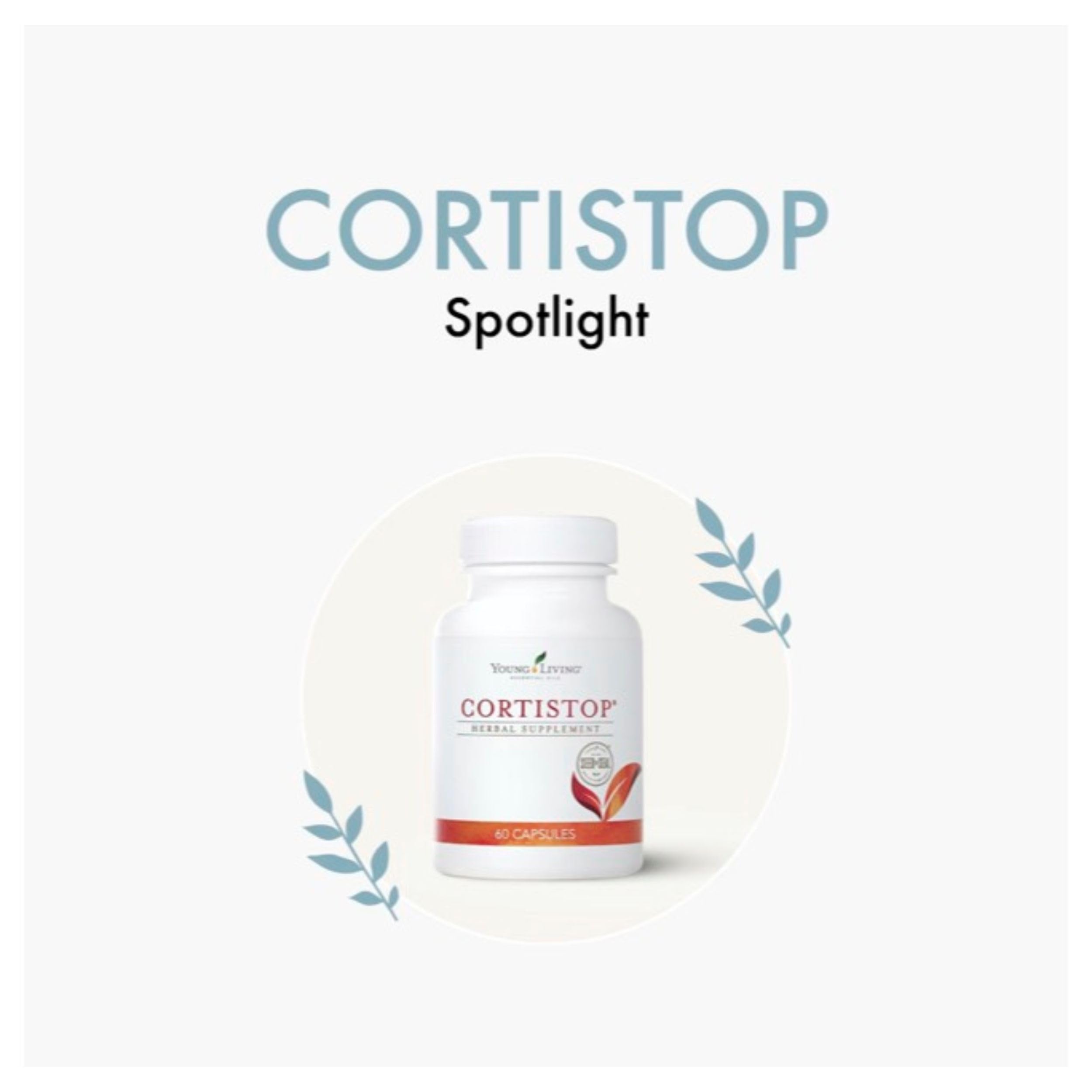 Boîte CortiStop compacte, idéale pour les déplacements et le bien-être au quotidien.