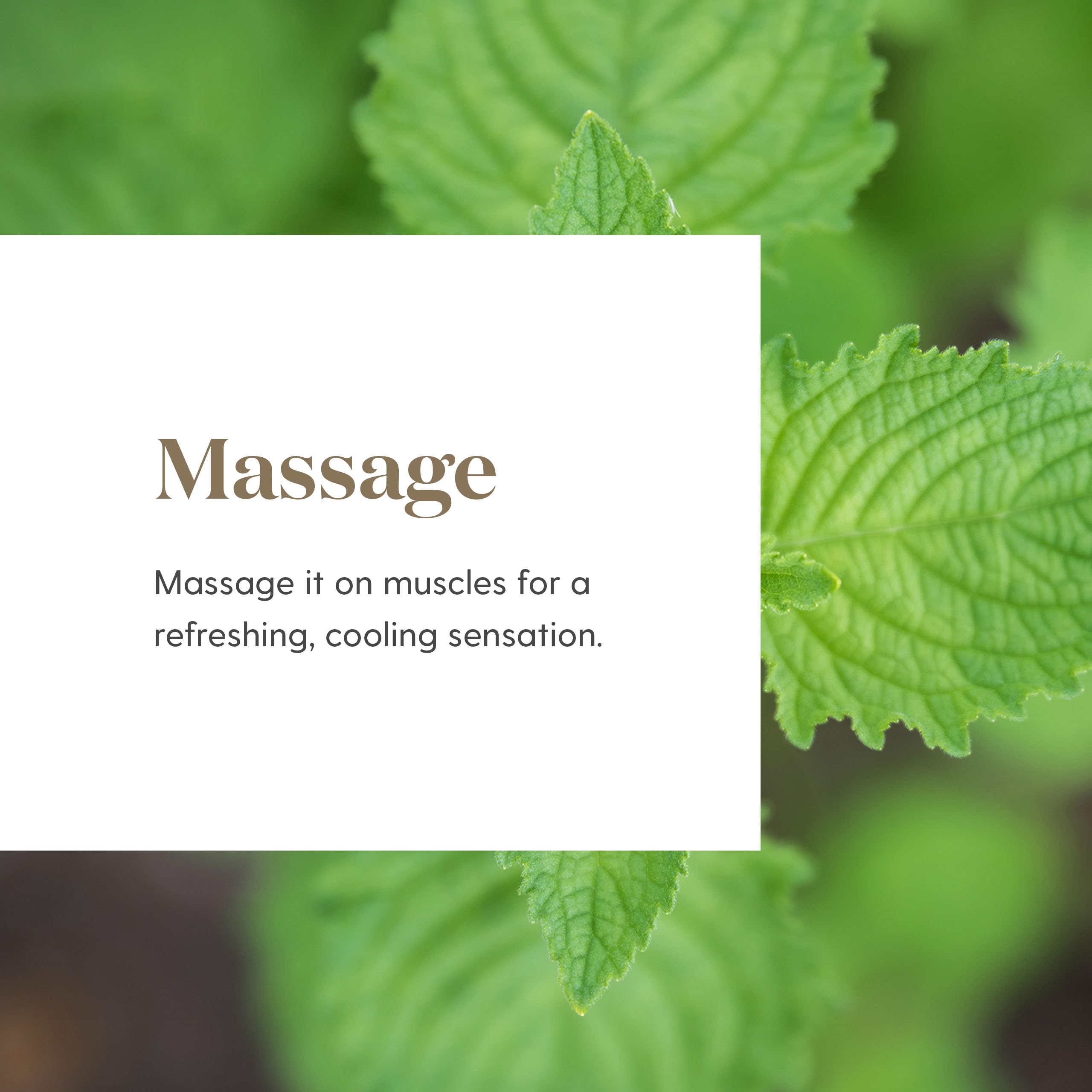 Young Living Deep Relief 5ml — emballage portable prêt à emporter