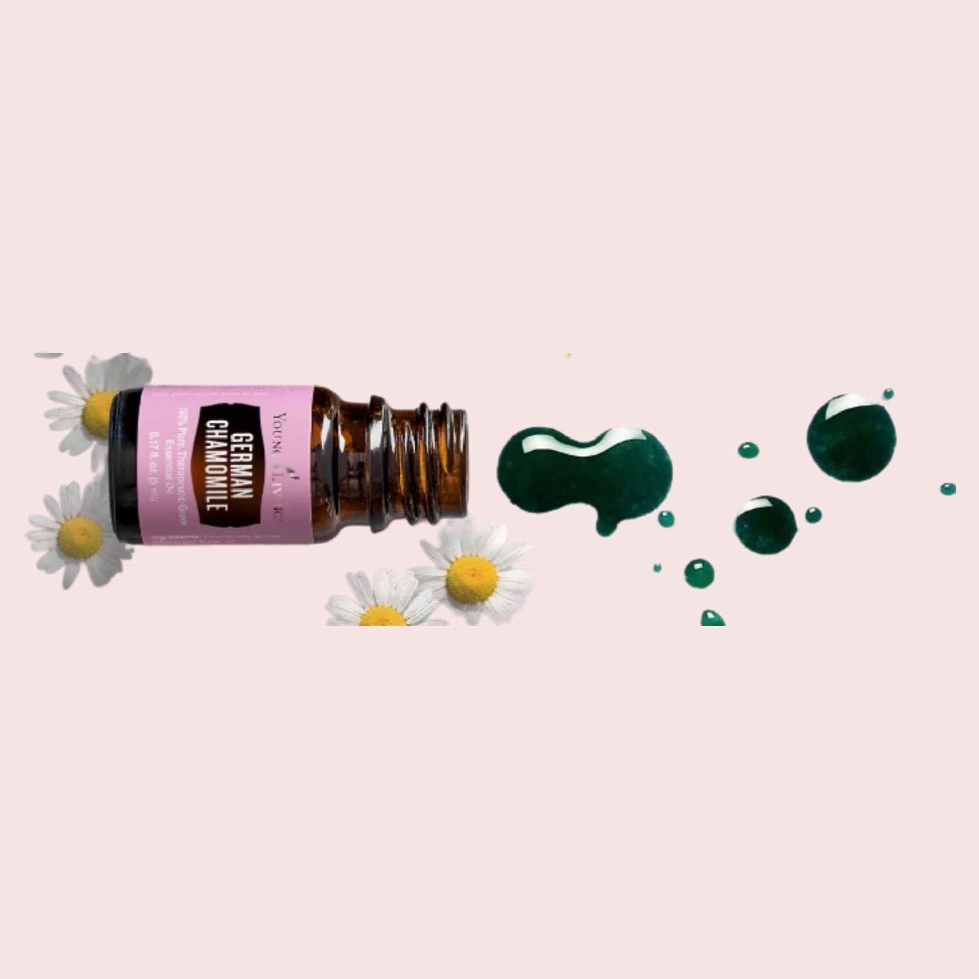 Diffuseur aromathérapie camomille allemande Young Living pour atmosphère sereine.