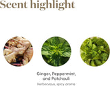 DiGize de Young Living, utilisation quotidienne dans une routine de bien-être.