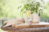 EndoFlex Young Living, diffuseur aromathérapie pour ambiance apaisante à domicile.
