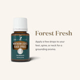 Young Living Épinette Noire des Lumières du Nord – Diffuseur pour ambiance calme et apaisante.