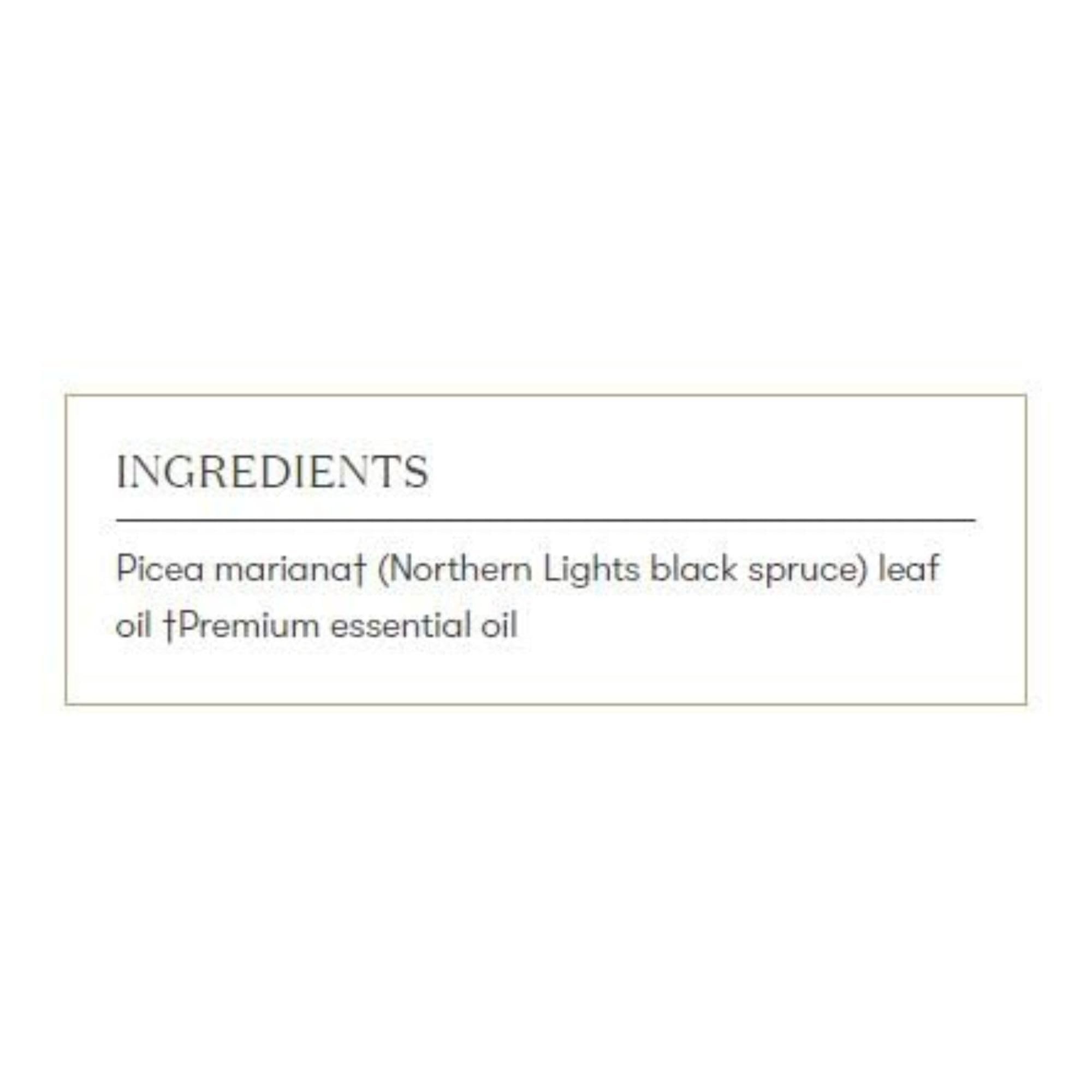 Young Living Épinette Noire des Lumières du Nord – Distillation à la vapeur pour préserver la pureté aromatique.