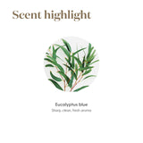 Arôme Eucalyptus Blue de Young Living pour une ambiance calmante et rafraîchissante.