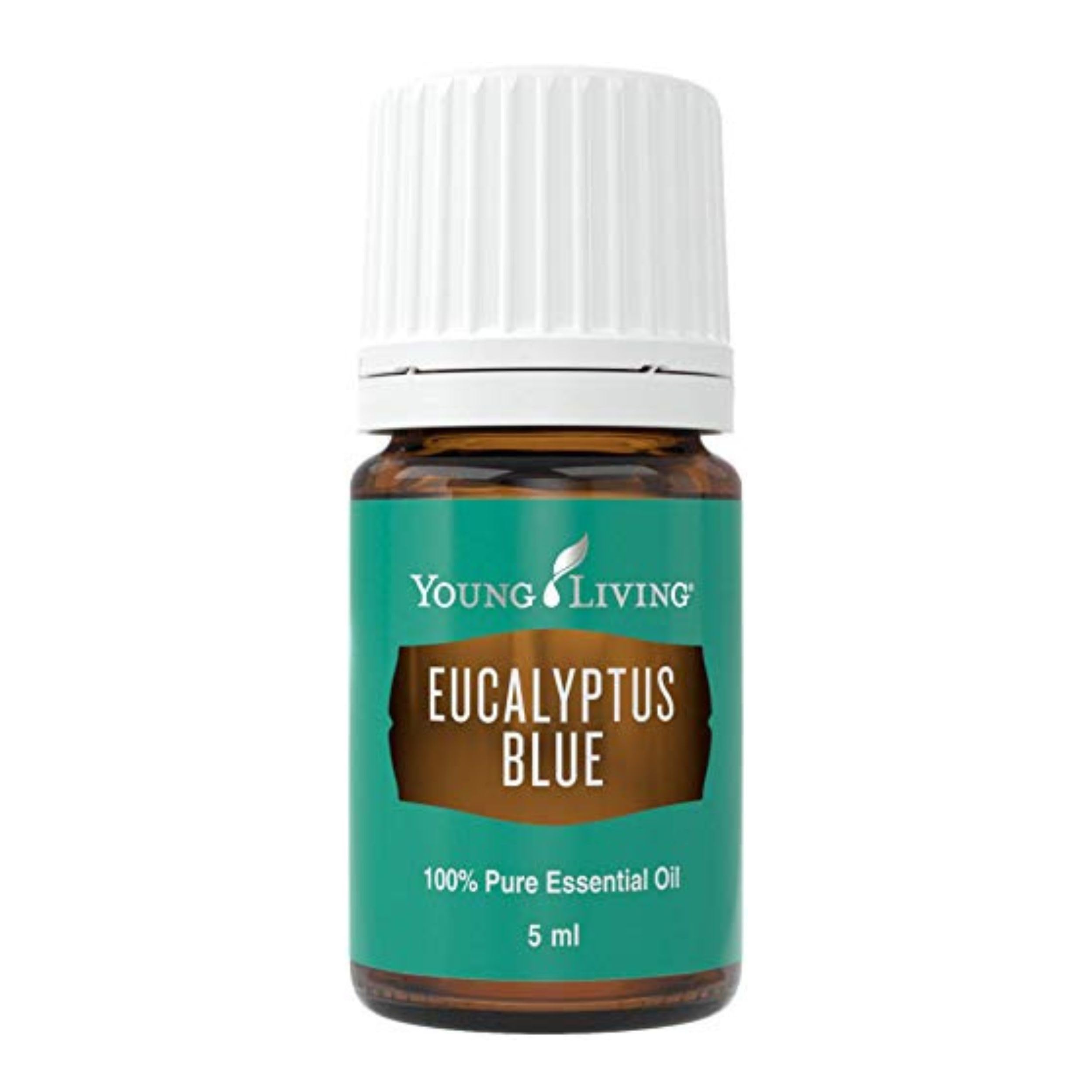 Young Living Eucalyptus Blue dans la bouteille, diffusion revitalisante recommandée.