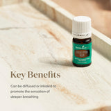 Brume aromatique légère de Young Living Eucalyptus Blue en diffusion.