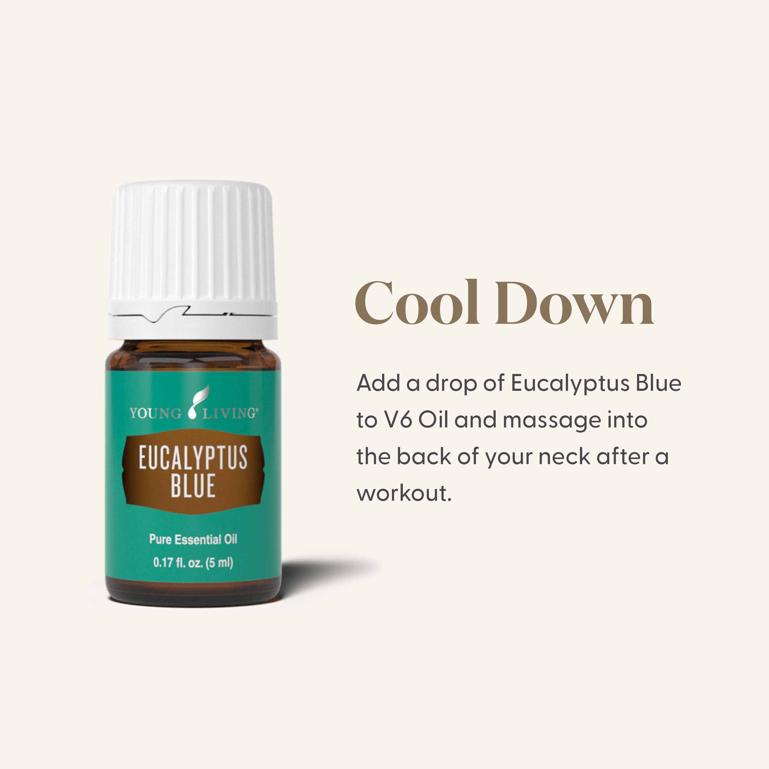 Diffusion avec Young Living Eucalyptus Blue, arôme frais et vivifiant.