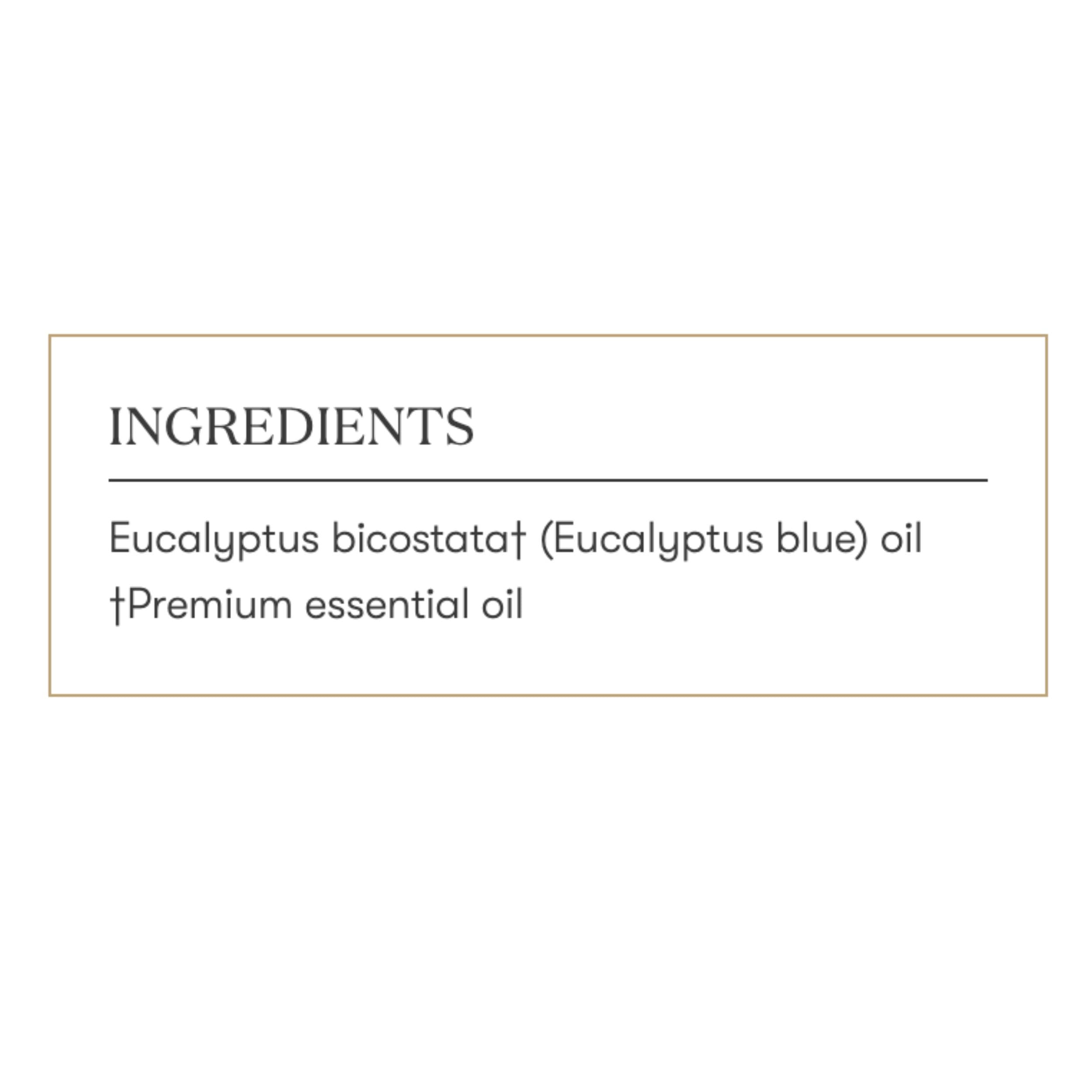 Emballage Young Living Eucalyptus Blue prêt à être offert.