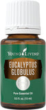 Young Living Eucalyptus Globulus — bouteille prête pour l’aromathérapie et rafraîchissement.