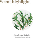 Environnement d’étude et méditation amélioré par l’arôme Eucalyptus Globulus de Young Living.