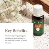 Massage léger avec Young Living Eucalyptus Globulus pour revitalisation et détente.