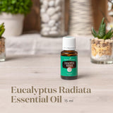 Young Living Eucalyptus Radiata, arôme camphoré pour diffusion rafraîchissante.
