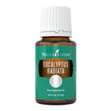 Young Living Eucalyptus Radiata, bouteille 15 ml, arôme vivifiant stimulant l'énergie.