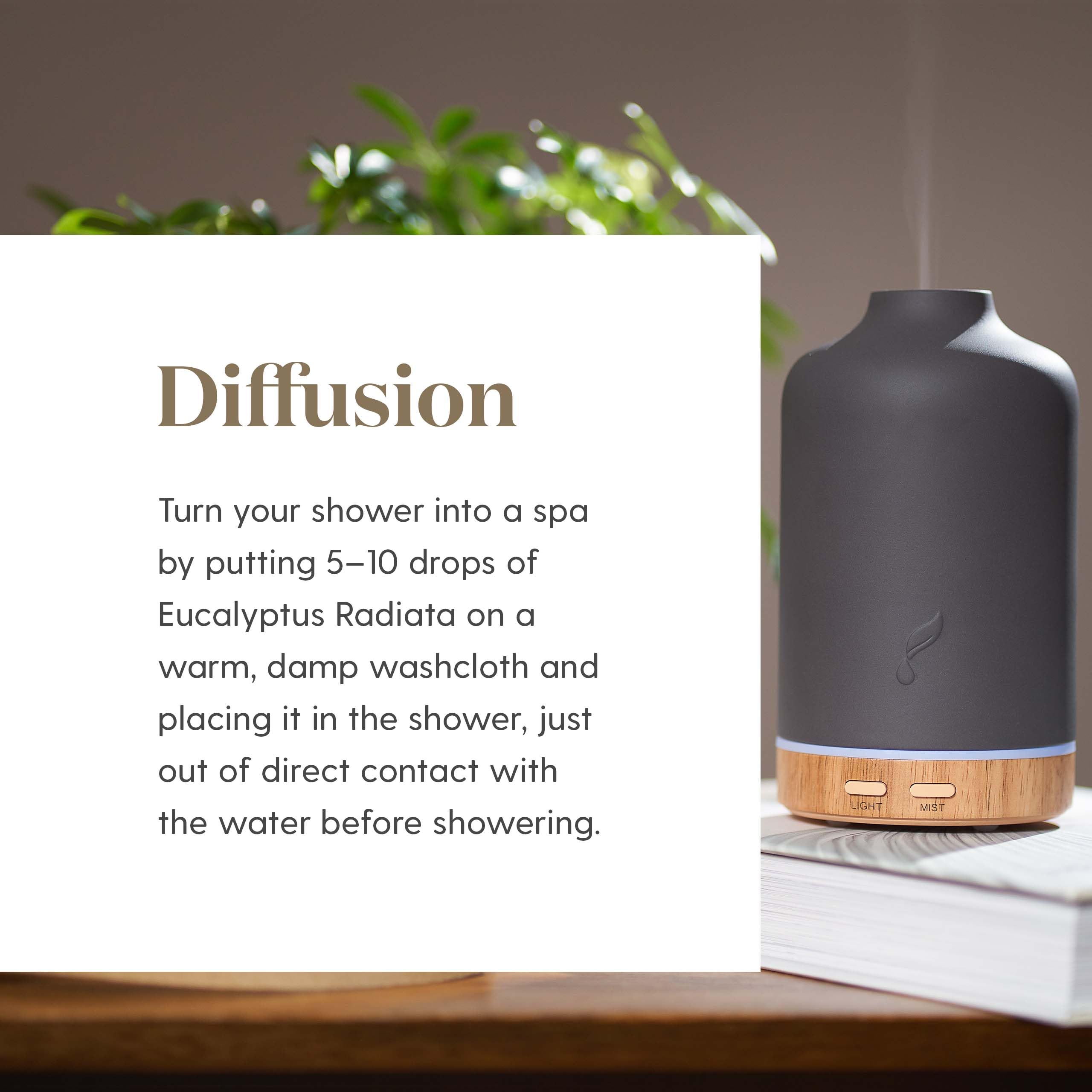 Young Living Eucalyptus Radiata, huile pour diffuseur, rafraîchit l'air et stimule l'humeur.