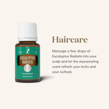 Young Living Eucalyptus Radiata, huile utile pour massage, soulage les tensions et relaxe.