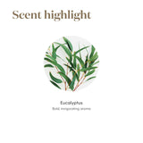Young Living Eucalyptus Radiata, parfum apaisant pour relaxation en fin de journée.