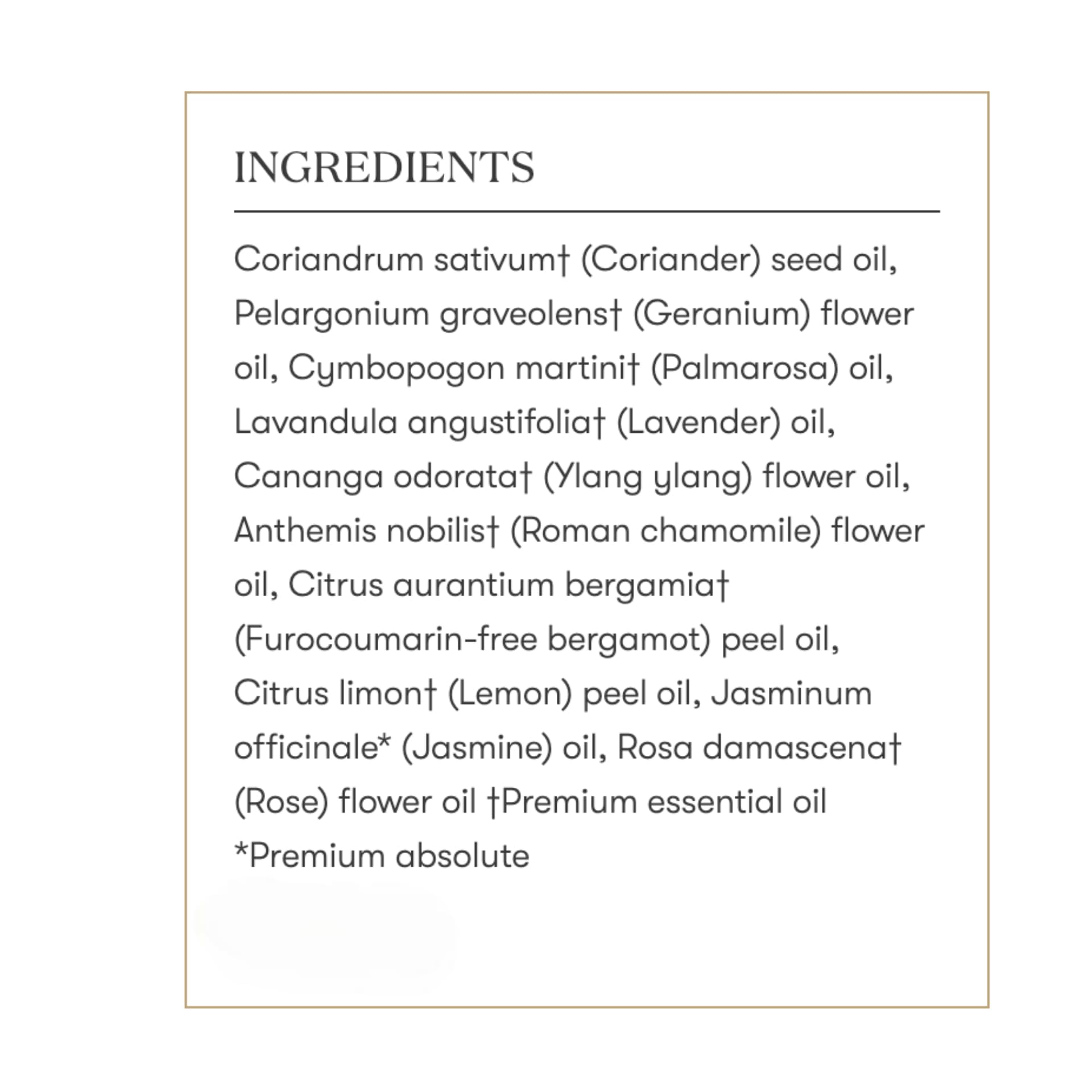 Young Living Gentle Baby, moment de câlin avec soin apaisant et hydratant.