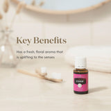 Mélanges personnels Géranium Young Living — créez vos recettes bien-être.