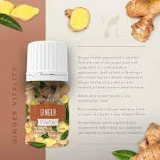 Young Living Ginger Vitality, aromathérapie, flacon compact libérant un piquant apaisant.