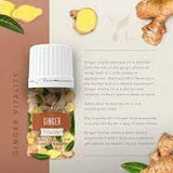 Young Living Ginger Vitality, aromathérapie, flacon compact libérant un piquant apaisant.