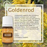 Young Living Goldenrod — bain parfumé pour une expérience spa à la maison