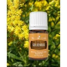 Young Living Goldenrod — diffuseur d'arômes pour une ambiance calme et concentrée