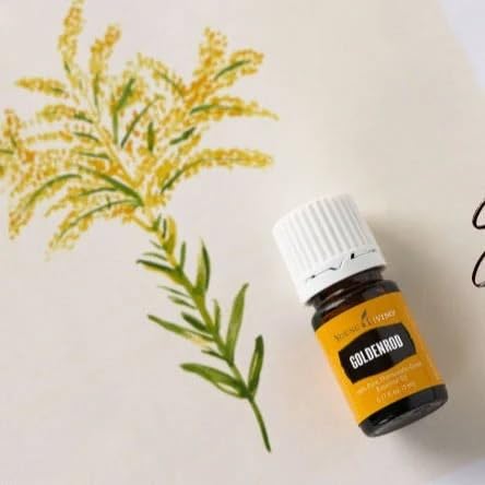 Young Living Goldenrod — soin peau maison mélange doux et nourrissant