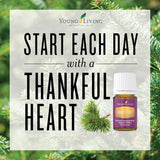 Gratitude Young Living – etiquette du flacon, design naturel et premium