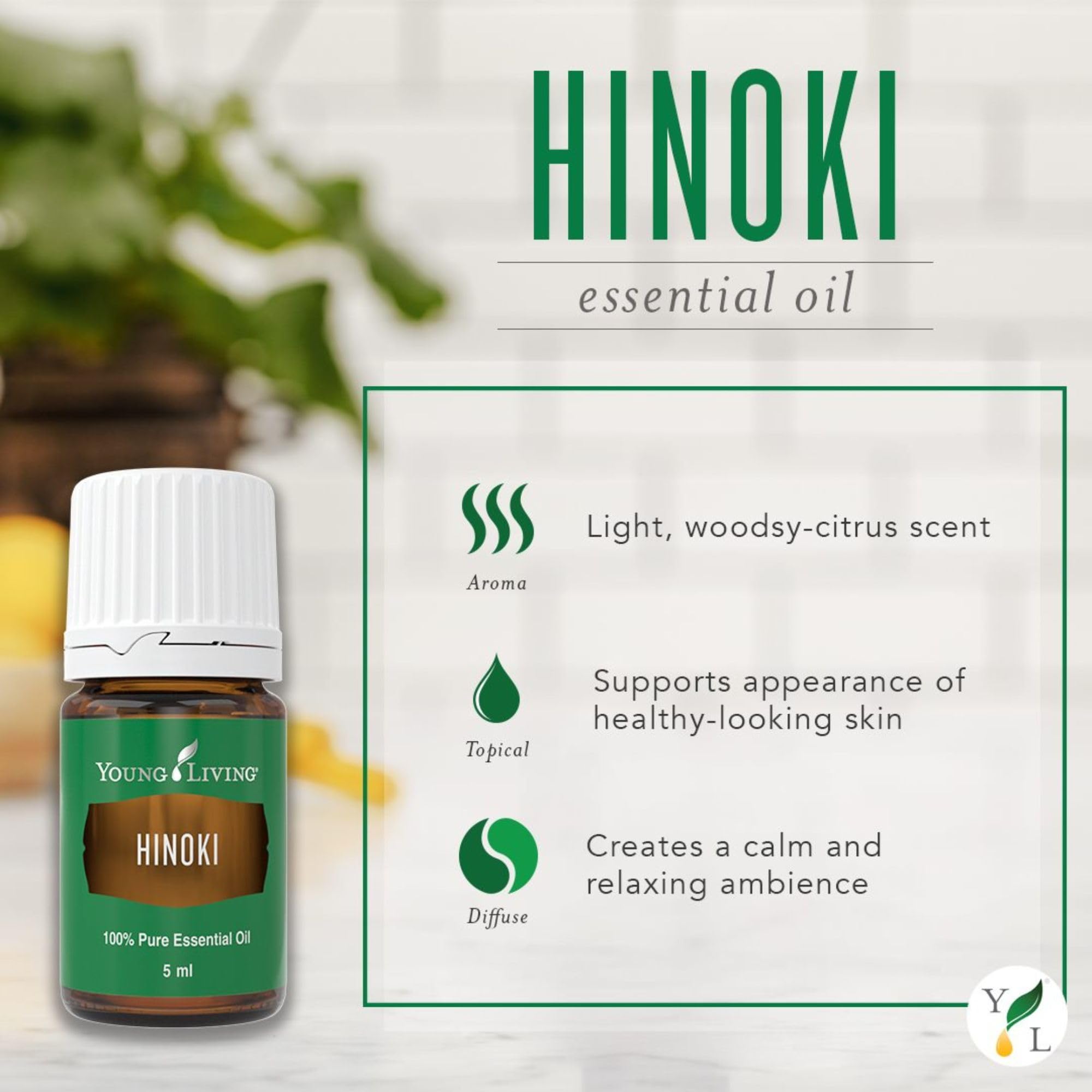 Hinoki de Young Living, diffuseur de bureau favorisant concentration et calme