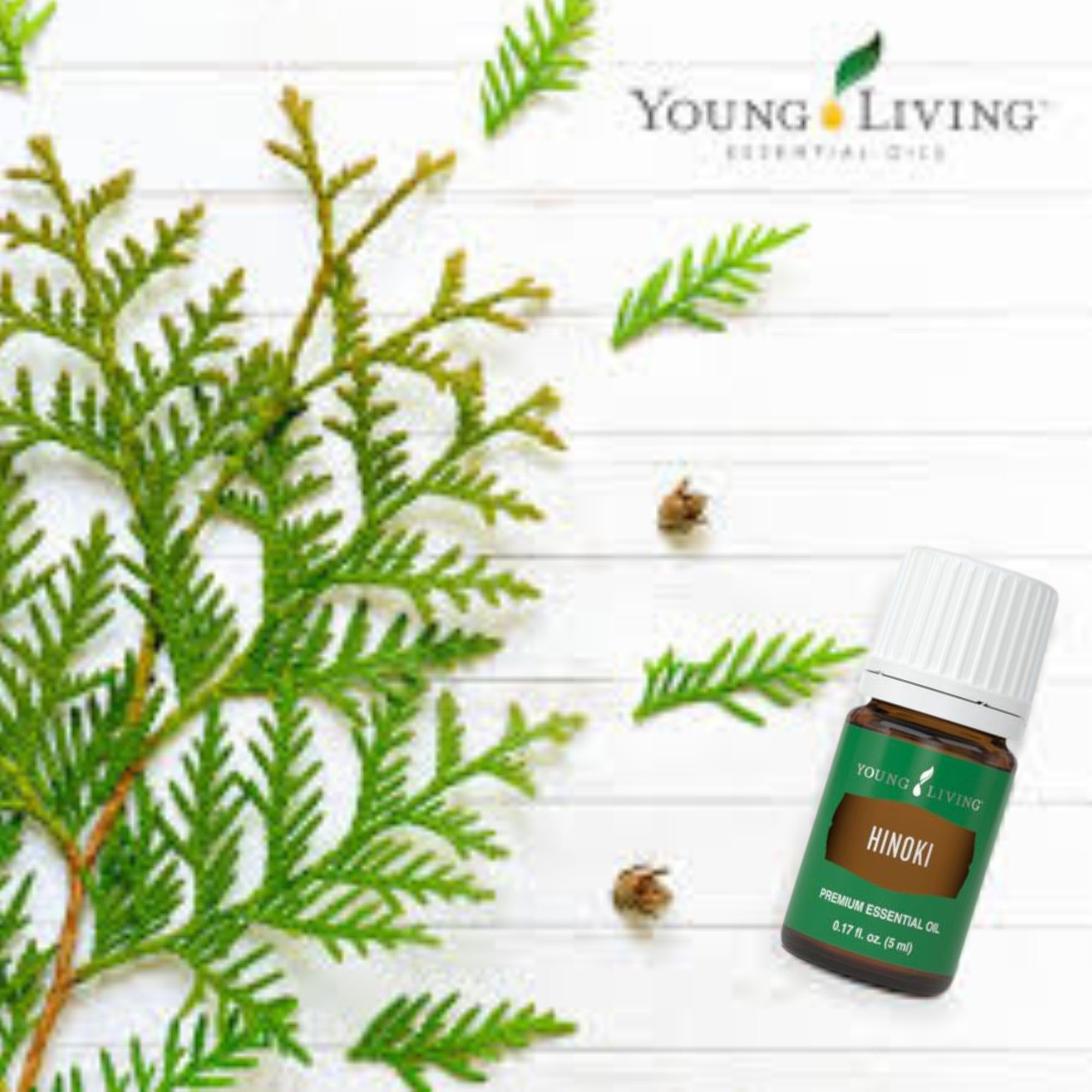 Hinoki de Young Living, pratique de méditation avec un arôme apaisant