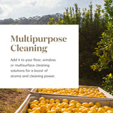 Young Living Citron soin-peau, ajout subtil pour une peau éclatante naturellement.