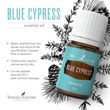 Blue Cypress Young Living, flacon en verre, arôme revitalisant pour les activités en plein air.