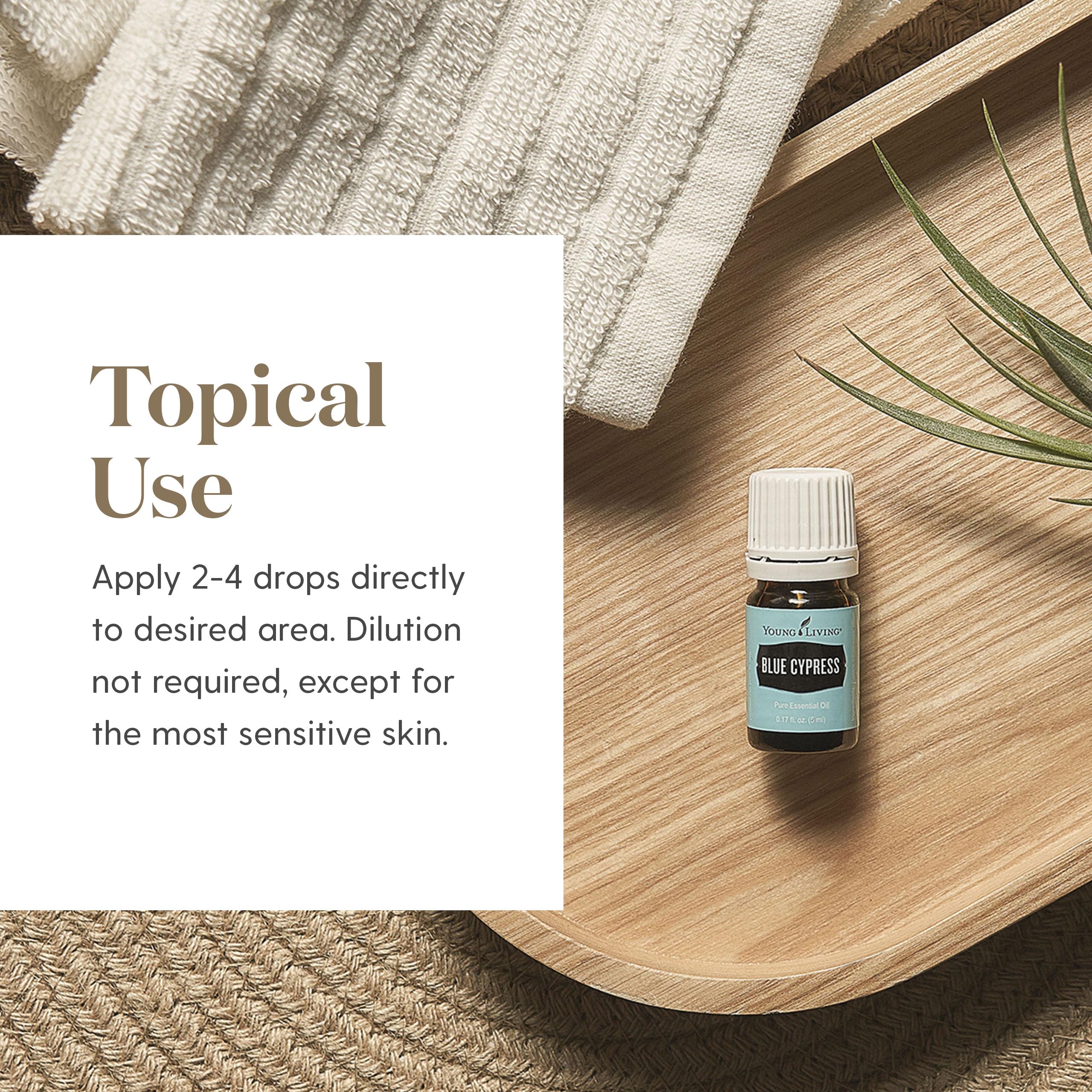 Blue Cypress huile essentielle pour massage relaxant et bien-être.