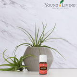 Young Living Carotte: huile pure et qualité supérieure.