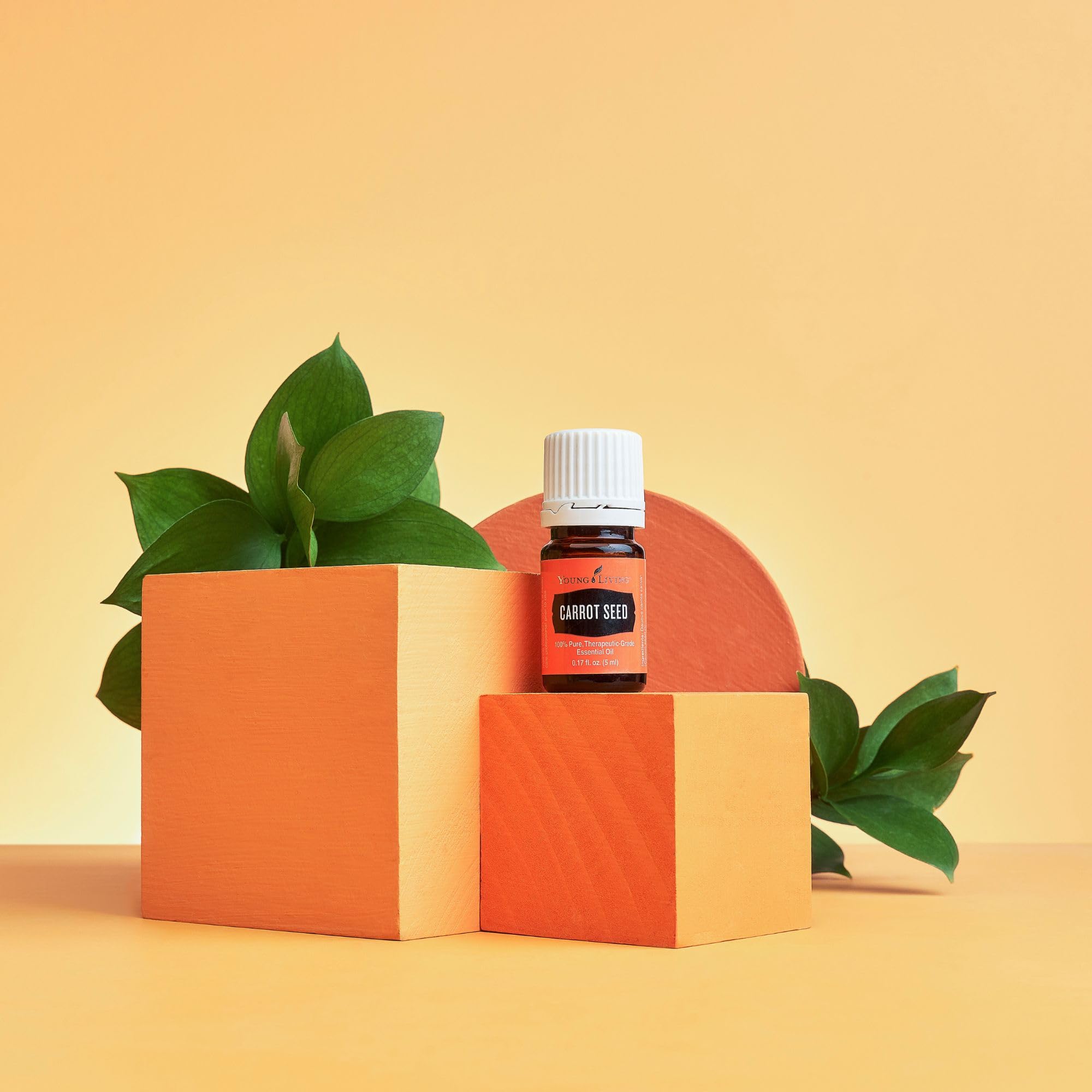 Young Living Carotte: soin visage hydratant et apaisant.