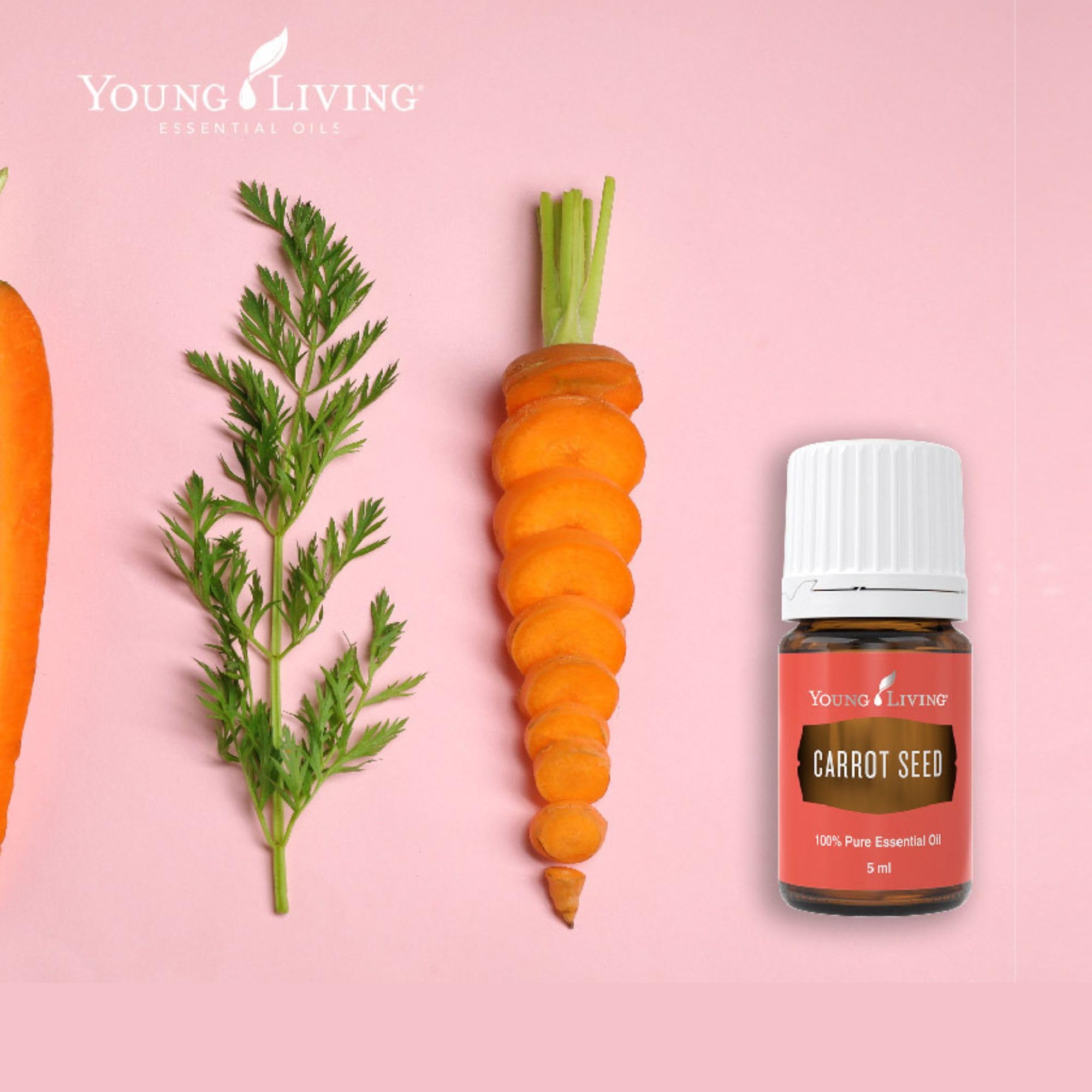 Young Living Carotte: usage polyvalent pour peau et diffusion.