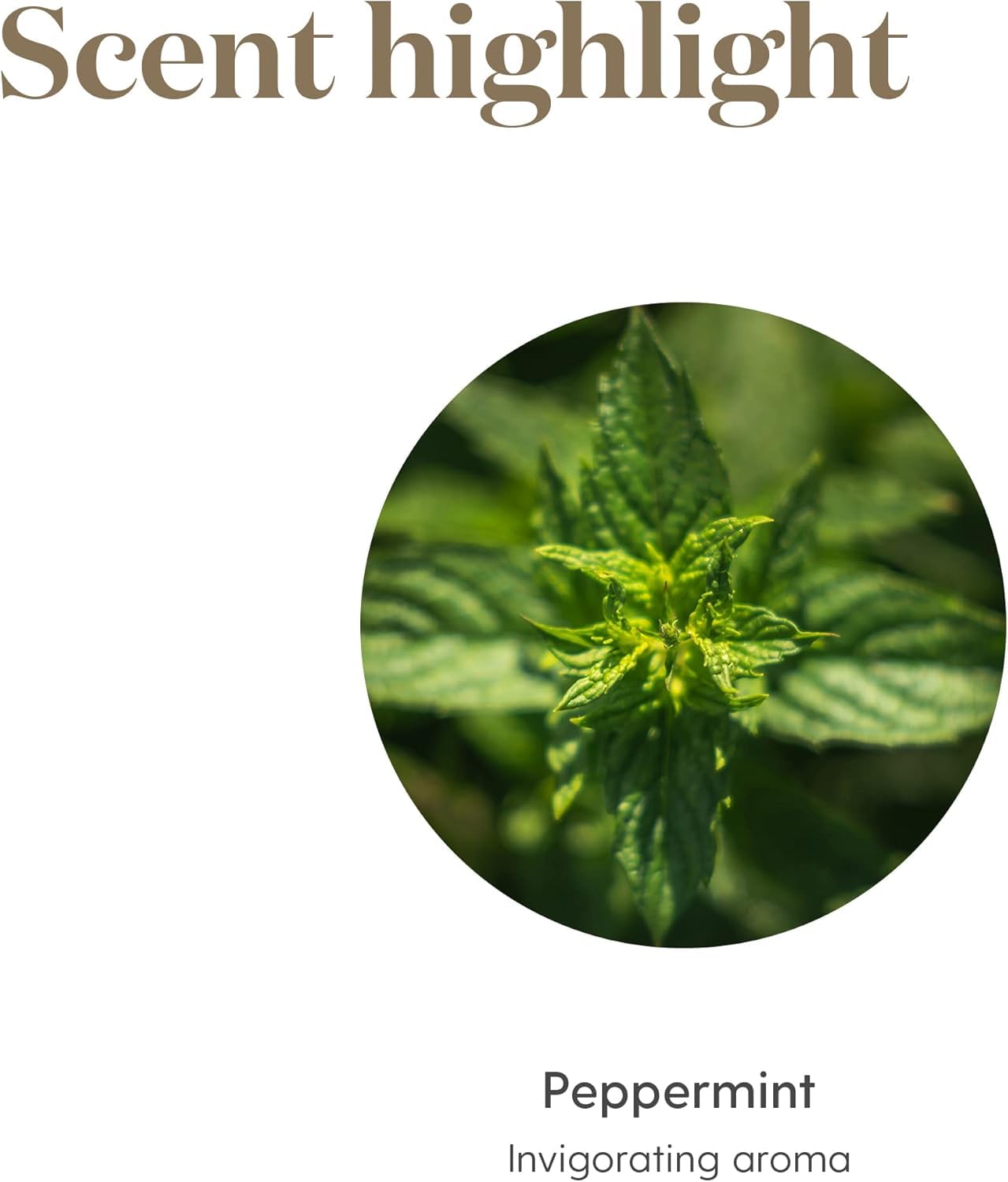 young living menthe poivrée — ajouté au shampoing pour réveil matinal.