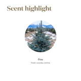 Arôme pin frais: huile Pine Young Living qui rafraîchit votre intérieur.
