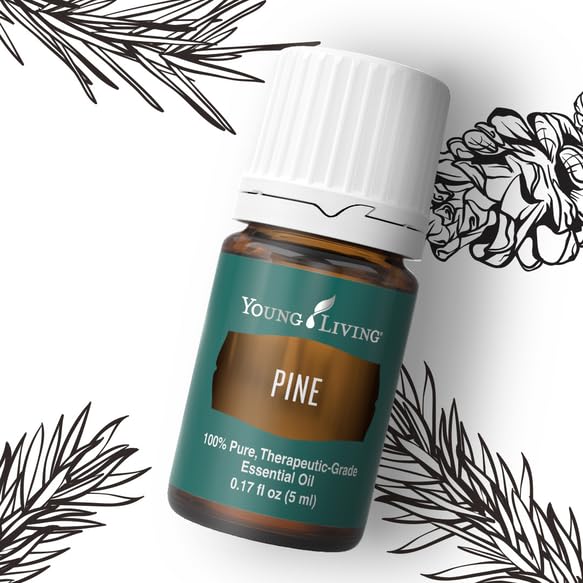 Diffuseur prêt: huile essentielle Pine Young Living pour une ambiance naturelle.